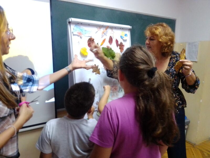 IMG-2c02ae30ebbe67f14e8d1dab59880741-V